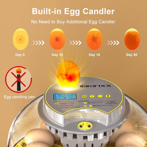 Incubator for Hatching Eggs - 12 Egg Capacity, 360° Viewing for Chicken | Automatic Temp & Humidity Control, Auto Egg Turning & Built-in Egg Candler for Chicken, Duck, Goose & Quail (Grey) - color: Grey, size: 12 Egg