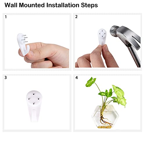 Kingbuy Hexagon Wall Planter Set - 3 Pack Glass Propagation Terrarium Vases with Hanging Mounts for Indoor Plants, Air Plants & Hydroponic Stations Home Office Decor, Plant Lover Gifts (Medium) - size: Medium