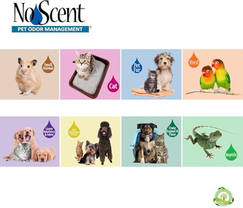 No Scent Crate Kennel & Floor Cleaner for Dog Run, Cat Carrier, Hard Surface Pet Odor & Stain Management (128 Fl Oz / 3.8 Liter) Gallon - size: 128 Fl Oz (Pack of 1)