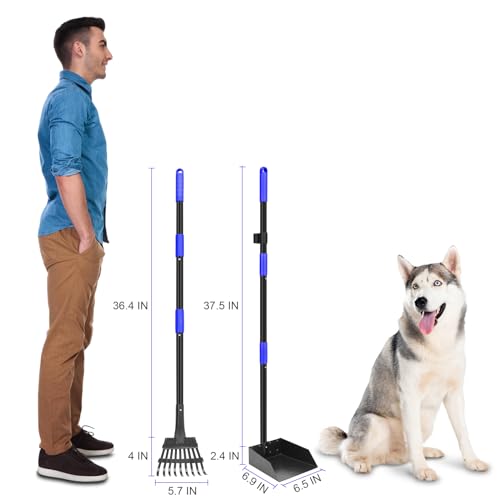 Pooper Scooper, Dog Pooper Scooper Tray and Rake Set with Adjustable Stainless Steel Long Handle for Large Medium Small Dogs (Blue) - color: Blue