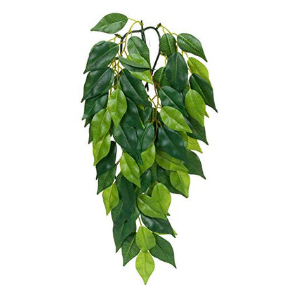 Hagen Exo Terra Silk Terrarium Plant, Medium, Ficus - color: Multi Color, size: Medium