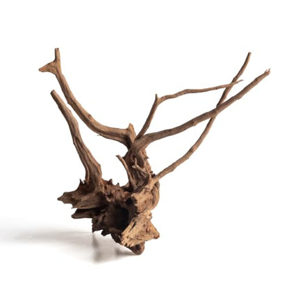 emours Natural Aquarium Driftwood, Upright Root Style Wood for Fish Tank Decor, Unique Driftwood for Aquascape, Terrarium and Reptile Display, 1 Piece (12-16" (30-40 cm)) - size: 12-16" (30-40 cm)
