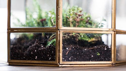 Urban Born Handmade Birdcage Large Glass Terrarium — 10" x 9" x 9" (Brass)