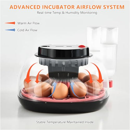 Incubators for Hatching Eggs - 12 Egg Capacity, Egg Incubator with Automatic Egg Turning and Temperature Control, Incubator for Chicken, Duck, Goose, Quail, 360° Full View, Home Farm Classroom Use