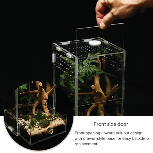 Acrylic Clear Reptile Habitat Enclosure Terrarium with Latch ，Perfect for Amphibians and Invertebrates Such as Spiders, Frogs, etc (Vertical)