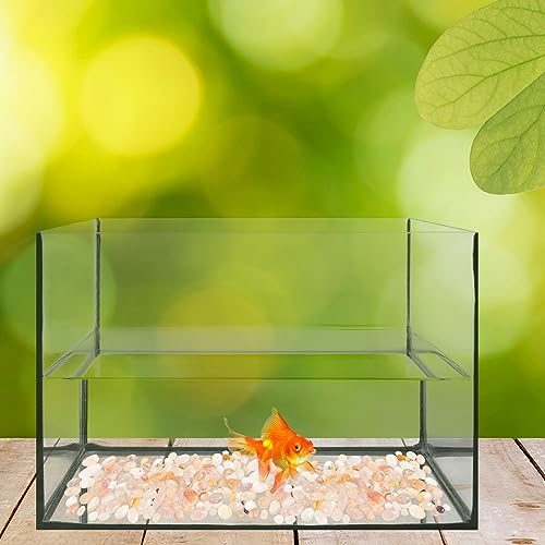 Yardwe 1set Polished Natural Pebbles for Aquariums Decorative Stones for Fish Tanks for Plants and Gardens Agate Pebbles