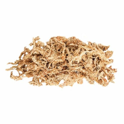 Galápagos (05203) 5-Star Golden Sphagnum Moss | Long-Fiber Snake Bedding, Reptile Substrate & Terrarium Moss for Frogs, Toads, Carnivorous Plants, Leopard Geckos, Snakes, and Amphibians, 1/3 Pound