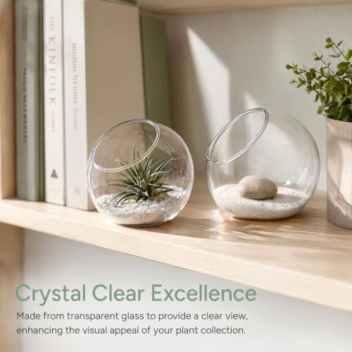 IMIKEYA Plant Terrarium Display: 3Pcs Slanted Glass Terrarium Containers Air Plant Glass Sphere Succulent Display Bowl Vase for Home Tabletop Microlandschaft