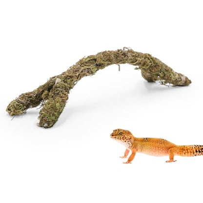 Bendable Moss-Covered Climbing Branch – Adjustable Reptile Habitat Decor with Internal Wire | Terrarium Accessories for Geckos, Chameleons & Small Arboreal Pets
