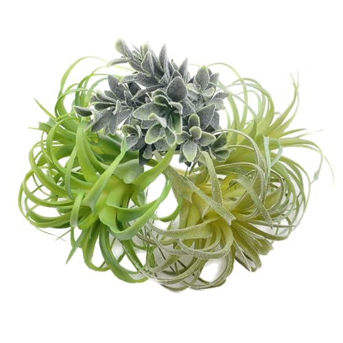 POANTA 5 Pack Assorted Artificial Succulents Air Plants Set Unpotted Realistic Greenery Plants Home Garden Decoration