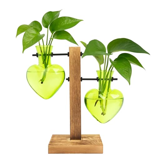 XXXFLOWER Plant Propagation Station Terrarium 2 Green Heart Shaped Vase | Terrarium Kit Bulb Glass Metal Desk Plant Holder, Retro Air Plants Water Plants, Home Office Decoration - color: Green