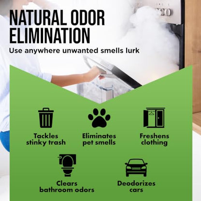 Harris Odor Eliminator Volcanic Rocks - Aborbes Odors from the Air Naturally