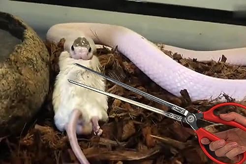 Snake Feeding Tongs, Ball Python Tank Accessories Supplies fit Corn Snakes