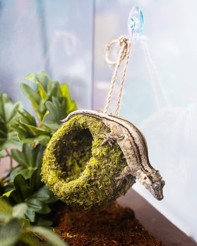 Handmade Crested Gecko Tank Accessories – Bearded Dragon Accessories, Reptile Hideout, Hermit Crab and Small Reptile Habitat 4.7×3.5×9in