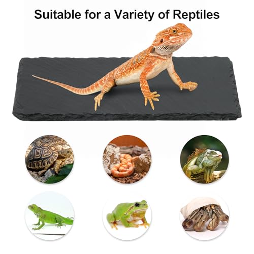 Reptiles Slate Rocks, Basking Surface Reptile Basking Platform, Enhances Climbing Activity, 7.87"x3.94", Black Gray - size: 7.87"x3.94"