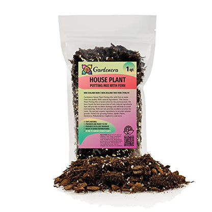 Premium Gardenera House Plant Potting Mix | Fern + New Zealand Bark + Perlite | Great for Pothos, Spider Plants, Montsera, Philodendron, English Ivy - 1 Quart Bag - color: HOUSE PLANT POTTING MIX, size: 1 Quart