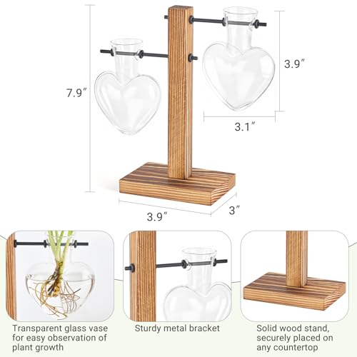 Mkono Propagation Stations,2 Heart Shaped Glass Plant Vases with Wood Stand | Hydroponic Terrarium, Desktop Propagation Jars, Cute Air Plant Flower Holder,Home Office Decor, Plant Lover Gardening Gift - size: 2 Heart Bulb Vase