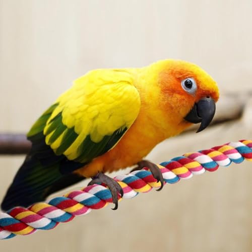 Bird Rope Perches,Parrot Toys 48 inches Rope Bungee Bird Toy (48 inches)[1 Pack] - size: 48 inches
