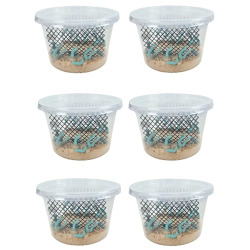 Josh's Frogs Hornworms Habitat Cup (12x6 Count Cup) - size: 12 Count (Pack of 6)