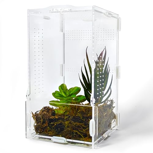Jumping Spider Enclosure, Arboreal Tarantula Enclosure, Praying Mantis Terrarium Critter Cage for Jumping Spider, Tarantula Slings, Snail, Isopods, Beetles, Millipedes, Springtails - size: Small