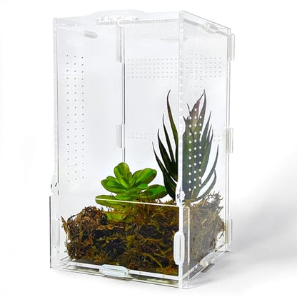 Jumping Spider Enclosure, Arboreal Tarantula Enclosure, Praying Mantis Terrarium Critter Cage for Jumping Spider, Tarantula Slings, Snail, Isopods, Beetles, Millipedes, Springtails - size: Small