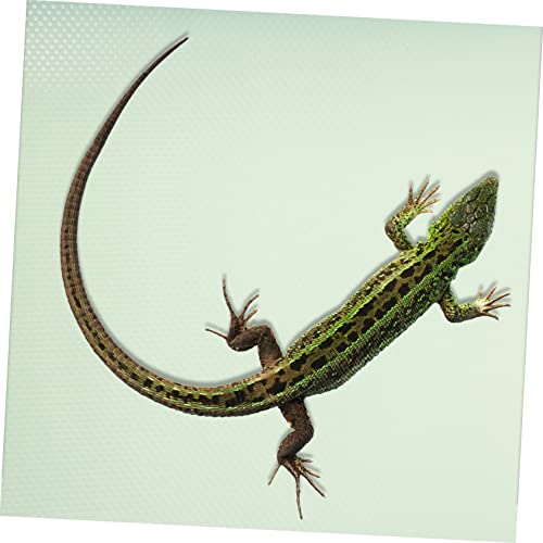 Eva Reptile Terrarium Carpet Snake Lizard Bedding Mat Bearded Dragon Accessories - color: Light Green