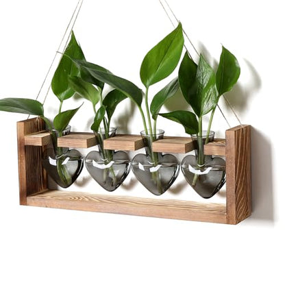 Plant Propagation Stations Heart Plant Terrarium Kit | Gift for Women Plant Lover Glass Vases - color: Gray