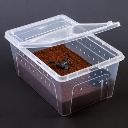 HOMSFOU Acrylic Reptile Feeding Box for Small Pets with High Surface Hardness and Safe Design, Climbing Pet Container Suitable for Living Foods and Transporting Animals Random Color