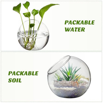 POPETPOP Plant Terrarium Glass Air Plant Holder: 3Pcs Tabletop Succulent Air Plant Planter Glass Succulent Planter Air Plant Vase for Succulent Cactus Plant, 12.00X12.00X12.00CM