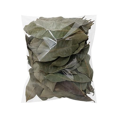 Longan Leaf Litter - Natural Pet Habitat Leaves Pack 50 Pieces, Soft Turtle Leaf Bedding Design | Clean Aquarium Foliage Cover for Frogs Fish Snakes Shrimp Lizards Tortoises Home Use