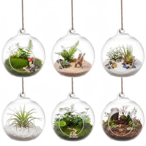 SUPVOX 6-Pack Hanging Glass Terrariums 4 Inch Orb Succulent Plant Holders with Rope for Indoor Outdoor Home Decor Tabletop and Wall Mounted Mini Garden Display