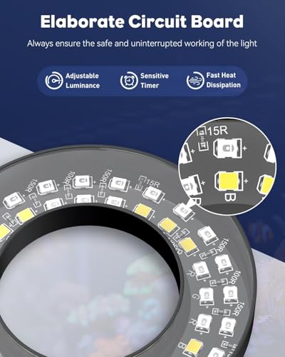 Pawfly Aquarium Light for 1-3 Gallon Saltwater Fish Tanks, Clip On LED Reef Light for Corals, Dimmable USB Aquarium Lamp with Full Spectrum Lighting and Timer (Adapter Not Included) - size: For 1 to 3 Gallon Fish Tank