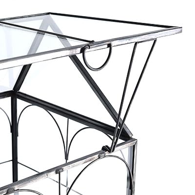 Glass Terrarium with Metal Tray, Glass Greenhouse Terrarium Kit | for Succulents, Cacti, Snails, Spiders, and Miniature Reptiles, Black (Small-5.9" L x 5.9" W x 10.2" H) - size: Small-5.9"L x 5.9"W x 10.2"H