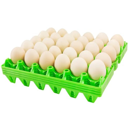 4-Pack Plastic Egg Tray Egg Crates, 30-Egg Flats, Stackable, Durable, Reusable, Green - size: 4-Pack Green