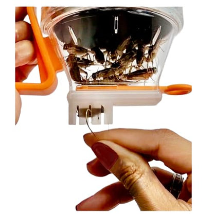 Patented All-In-One Live Bait Fishing Tool, Hands-Free Bait Chamber for Minnows/Worms/Crickets, Bait & Tackle Storage, Clear Lid, Ergonomic Handle