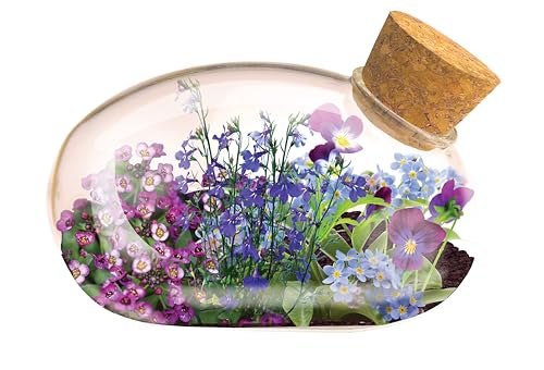 Mini Office Flower Glass Terrarium Starter Kit with Complete Supplies - The Flowering Mouse Tiny Garden - Easy to Maintain IndoorPlants - Perfect for The Office Or Home Tabletop
