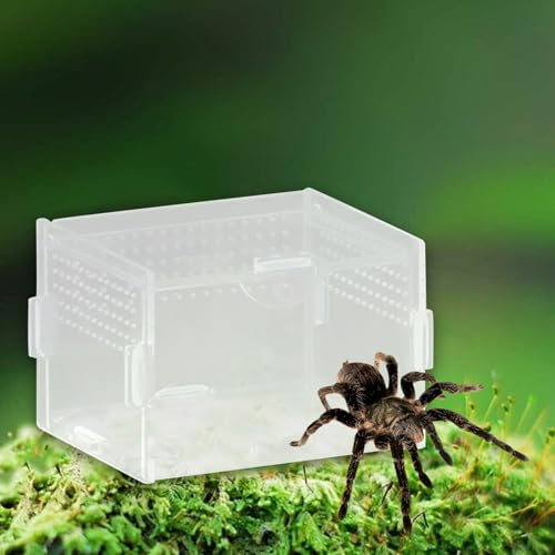 Reptile Breeding Box Acrylic Terrarium Container with Ventilation Holes for Snakes Turtles Chameleons Frogs Geckos Small Animal Habitat- 10x8x7cm