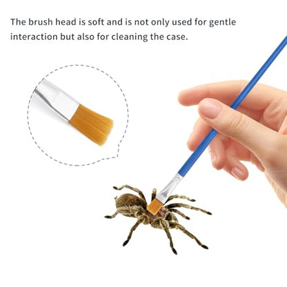 5-Piece Jumping Spider Care Kit with Spray Bottle, Tweezers and Brushes | Soft Scratch-Free Tools Simplify Feeding, Misting and Habitat Maintenance for Beginners and Small Arthropod Keepers