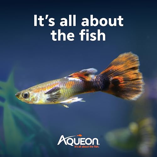 Aqueon QuietFlow Internal Filter with SmartClean Technology, Extra Small - size: Extra Small Filter, style: Extra Small Filter