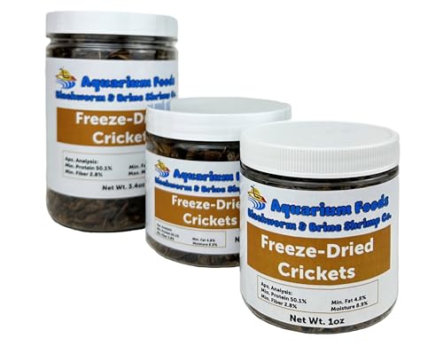Crickets - Freeze-Dried All Natural Crickets for Large Fish, Reptiles, Turtles, Birds, Hamsters, Hedgehogs, Sugar Gliders, All Lizards…1oz Sm Round Jar