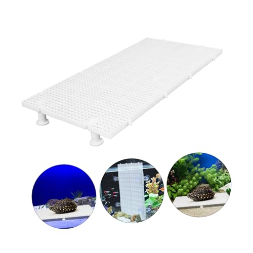 TOYANDONA 1set Aquarium Divider Boards Fish Tank Isolation Panels Support Easy Installation Fish Separation Prevents Debris Filtration System for Tortoise and Reptile Basking