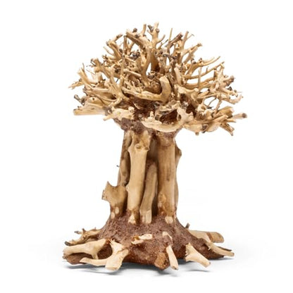 Ultum Nature Systems Bonsai - Handcrafted Hardscape Driftwood for Aquarium, Terrarium, Vivarium, Natural Aquascape Hardscape Decorations, Aquascaping Hardscape for Live Aquatic Plants - 007, Small