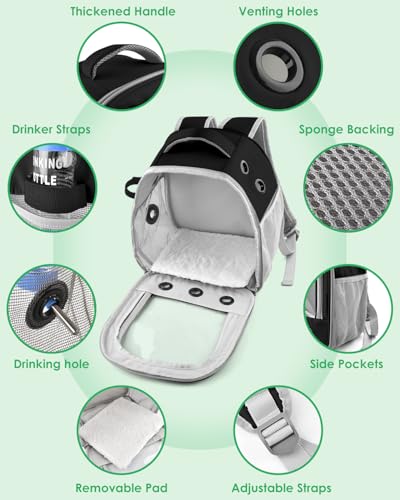 DBNESS Guinea Pig Carrier Backpack, Portable Rabbit Travel Carring Bag for Pet Bunny Chinchilla Bearded Dragon Hamster Parrot Outgoing Pouch Case with Water Bottle Holder & Detachable Pad (Black) - color: Black