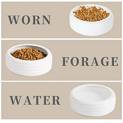 Reptile Food Bowls Ceramic Reptile Water Food Dish (White, Medium-2Pack)