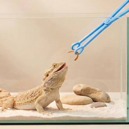 Reptile Feeding Tongs 9.6 Inch Long Plastic Feeding Tool for Live Insects | Long plastic feeding tweezers for reptiles, snakes and exotic pets with controlled handling of feeder insects - color: Light blue