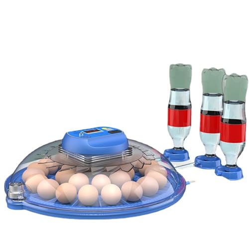 JUJOJB 12-Egg Incubator with Automatic Turner and Temperature Control | Humidity control, built-in egg candler, 360-degree clear window. For chicken, duck, quail, turkey eggs. Adjustable dividers. - color: Blue