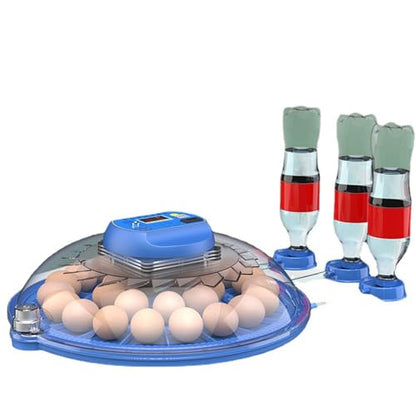 JUJOJB 12-Egg Incubator with Automatic Turner and Temperature Control | Humidity control, built-in egg candler, 360-degree clear window. For chicken, duck, quail, turkey eggs. Adjustable dividers. - color: Blue