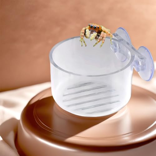4 Pcs Jumping Spider Feeding Dish Water Bowl with Suction Cup for Jumping Spider Tarantula Millipede Small Reptiles