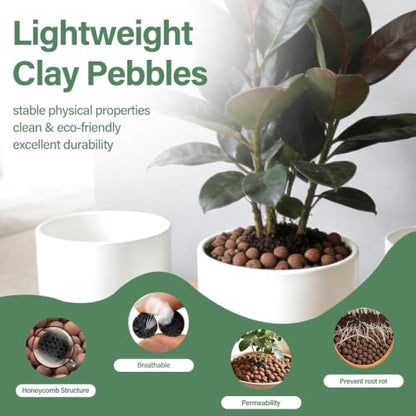 Halatool 6LB Clay Pebbles, 4-16mm Hydro Balls for Drainage & Aeration | Reusable, Lightweight Leca Balls for Root Rot Prevention, Semi-Hydroponics, Terrariums, Orchids, Indoor Outdoor Potted Plants - size: 6LB