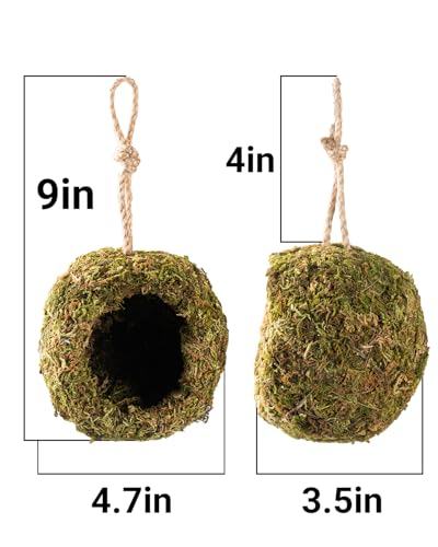 Handmade Crested Gecko Tank Accessories – Bearded Dragon Accessories, Reptile Hideout, Hermit Crab and Small Reptile Habitat 4.7×3.5×9in